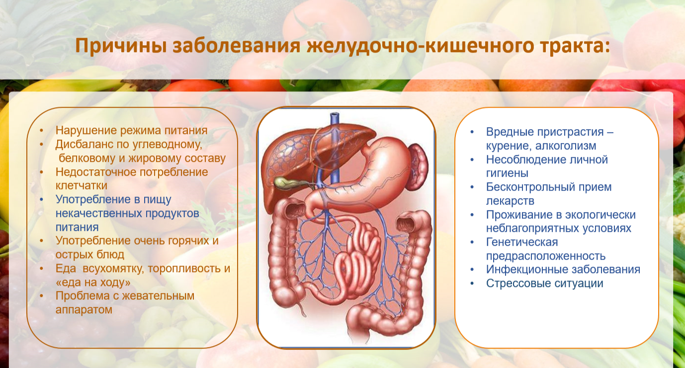 Сестринский уход при заболеваниях желудочно кишечного тракта. Профилактика заболеваний ЖКТ. Основные заболевания желудочно-кишечного тракта.